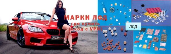 дурь Бородино
