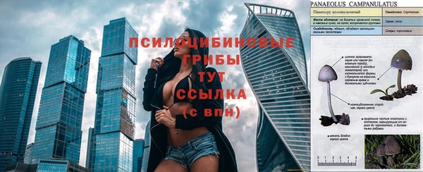 сатива Бронницы