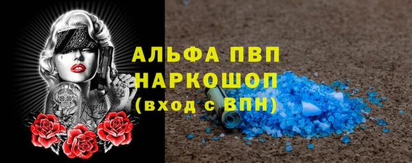 дурь Бородино