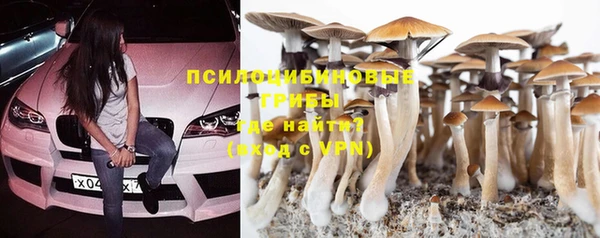 альфа пвп Бугульма
