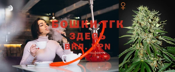 дурь Бородино