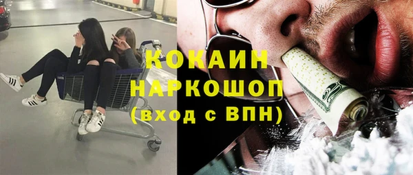 сатива Бронницы