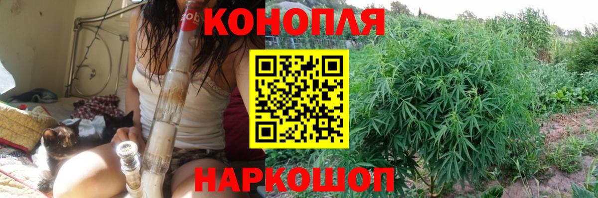 Конопля White Widow  Каннабис ГИДРОПОН  Вход с VPN  Валуйки 